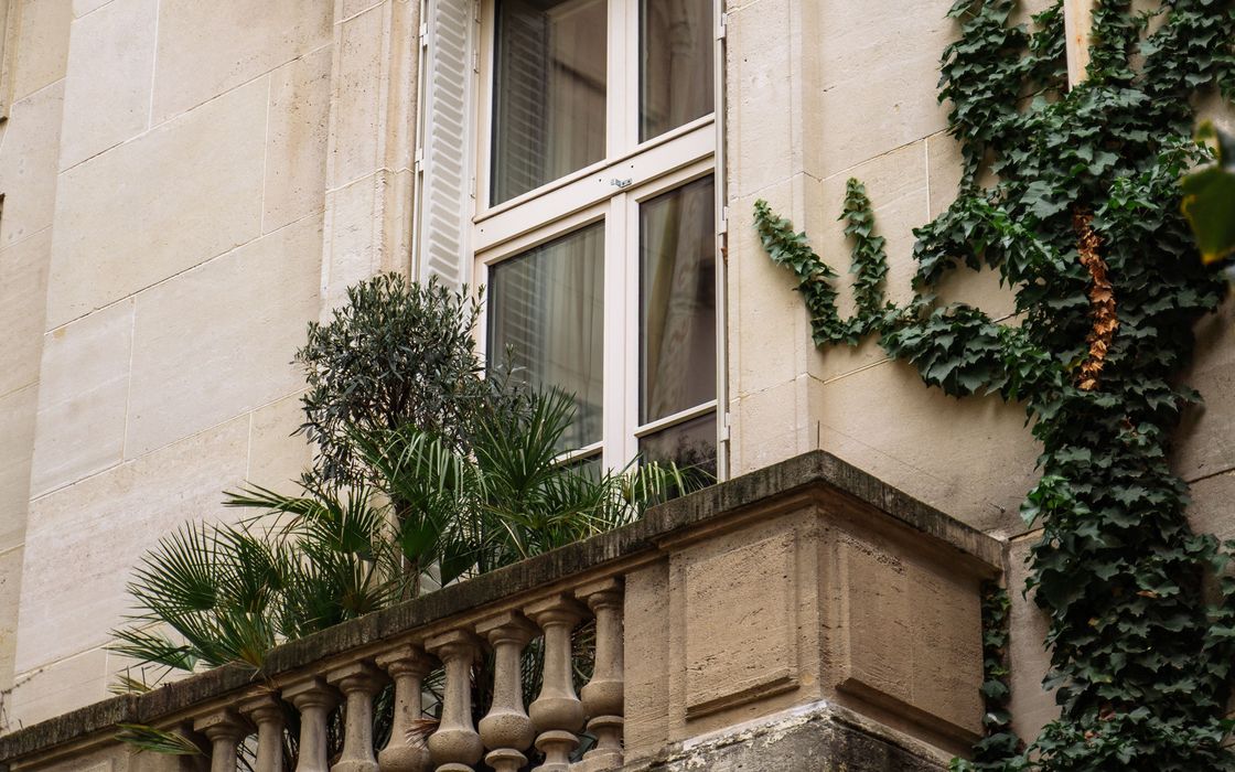 A tall window with white shutters above a stone balcony, ivy climbing the wall beside it